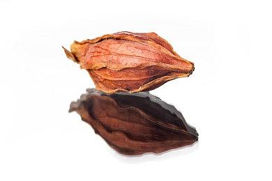 《蒙蒂鼹鼠系列》五款游戏合集现已登陆switch平台